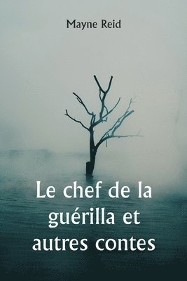 Le chef de la gurilla et autres contes 1