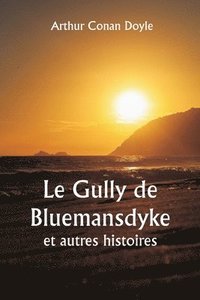 bokomslag Le Gully de Bluemansdyke et autres histoires