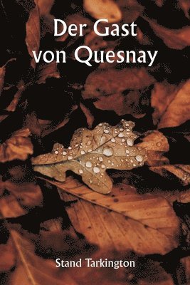 bokomslag Der Gast von Quesnay