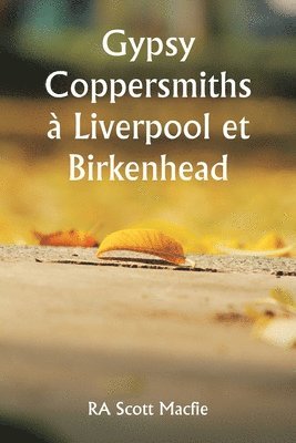bokomslag Gypsy Coppersmiths à Liverpool et Birkenhead