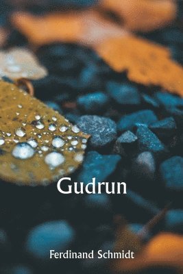 bokomslag Gudrun