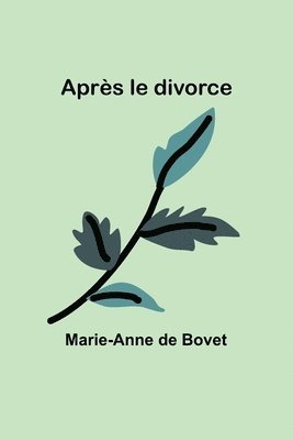 bokomslag Après le divorce