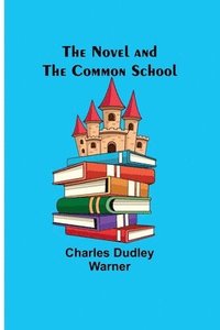 bokomslag Novel and the Common School