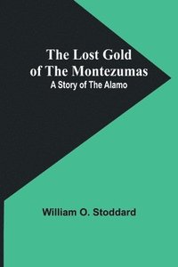 bokomslag The Lost Gold of the Montezumas