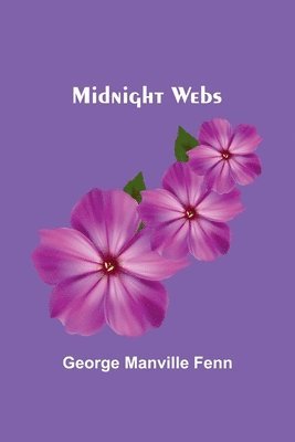 bokomslag Midnight Webs