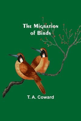 Migration of Birds