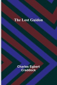 bokomslag Lost Guidon