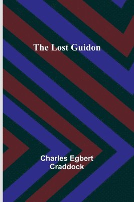 bokomslag Lost Guidon