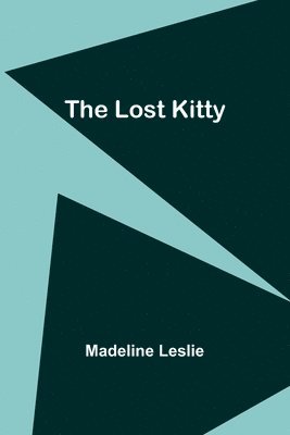bokomslag Lost Kitty