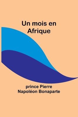 bokomslag Un mois en Afrique