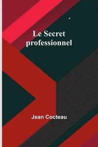 bokomslag Le Secret professionnel
