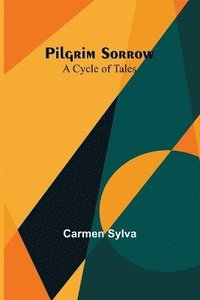 bokomslag Pilgrim Sorrow