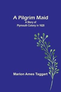 bokomslag A Pilgrim Maid