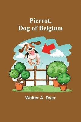 Pierrot, Dog of Belgium 1