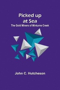 bokomslag Picked up at Sea; The Gold Miners of Minturne Creek
