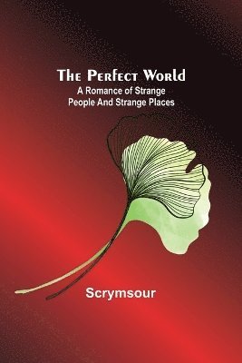 The Perfect World 1