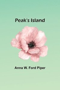 bokomslag Peak's Island