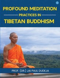 bokomslag Profound Meditation Practices in Tibetan Buddhism