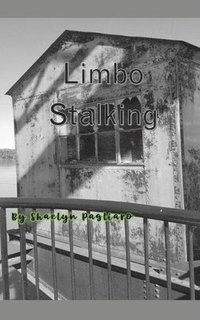 bokomslag Limbo Stalking