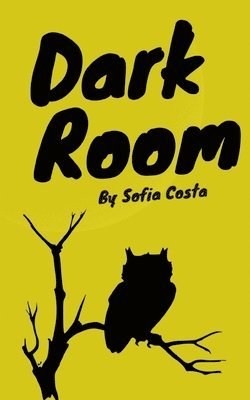 Dark Room 1