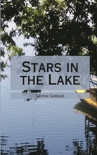 bokomslag Stars in the Lake