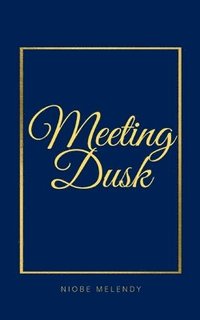 bokomslag Meeting Dusk
