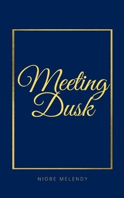 bokomslag Meeting Dusk