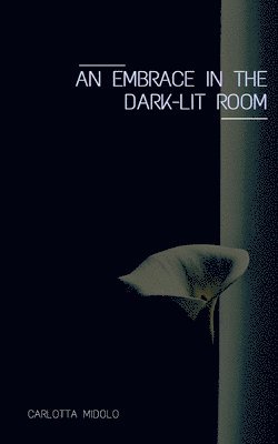 An embrace in the dark-lit room 1