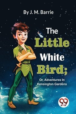 bokomslag Little White Bird