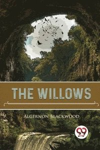 bokomslag Willows