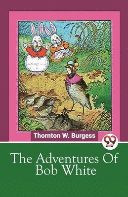 Thornton W. Burgess - Adventures of Bob White, Häftad