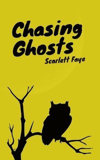bokomslag Chasing Ghosts
