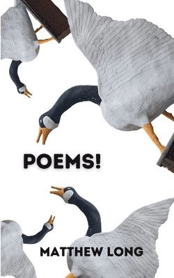 bokomslag Poems!