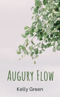bokomslag Augury Flow