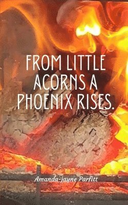 From little acorns a Phoenix rises. 1