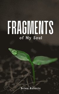 bokomslag Fragments of My Soul