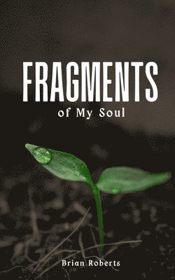 bokomslag Fragments of My Soul