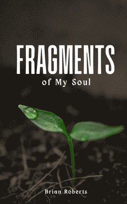 Fragments of My Soul 1