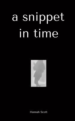 bokomslag snippet in time