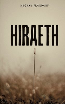 bokomslag Hiraeth