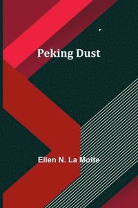 bokomslag Peking Dust