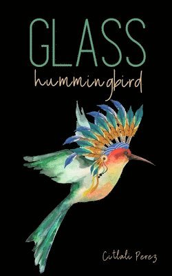 Glass hummingbird 1