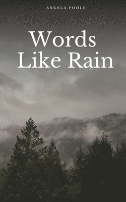 bokomslag Words Like Rain