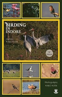 bokomslag Birding In Indore