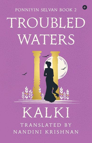 bokomslag Troubled Waters