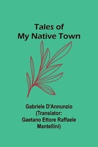 bokomslag Tales of My Native Town