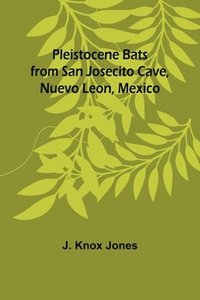 bokomslag Pleistocene Bats from San Josecito Cave, Nuevo Leon, Mexico