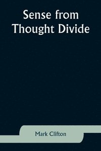 bokomslag Sense from Thought Divide