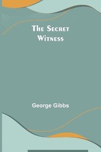 bokomslag The Secret Witness