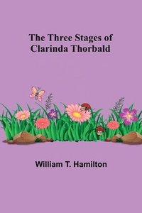 bokomslag The Three Stages of Clarinda Thorbald